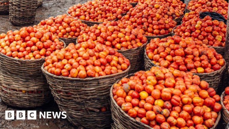 Nigeria kembali mengalami kehancuran mematikan di acara yang menawarkan makanan gratis