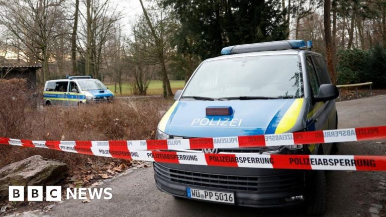 Balita dan seorang pria ditikam hingga tewas di taman Jerman