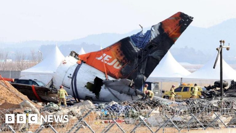 Bulu burung ditemukan di mesin jet Korea Selatan yang jatuh