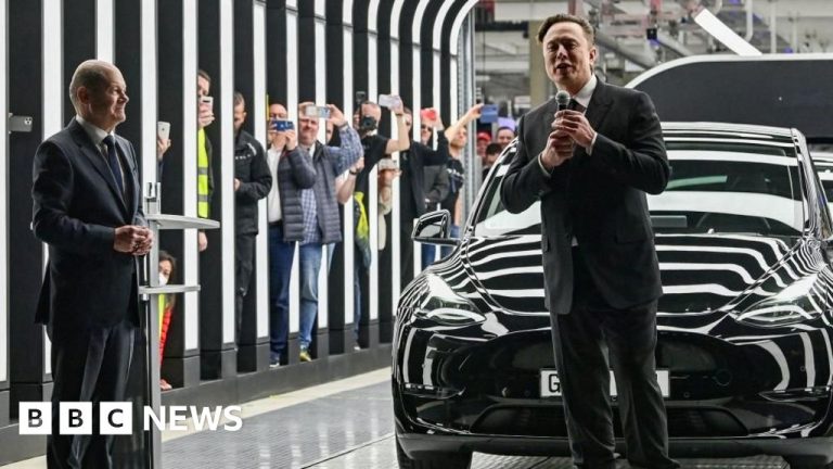 Musk memprovokasi para pemimpin Eropa sebelum berbincang dengan pemimpin sayap kanan Jerman