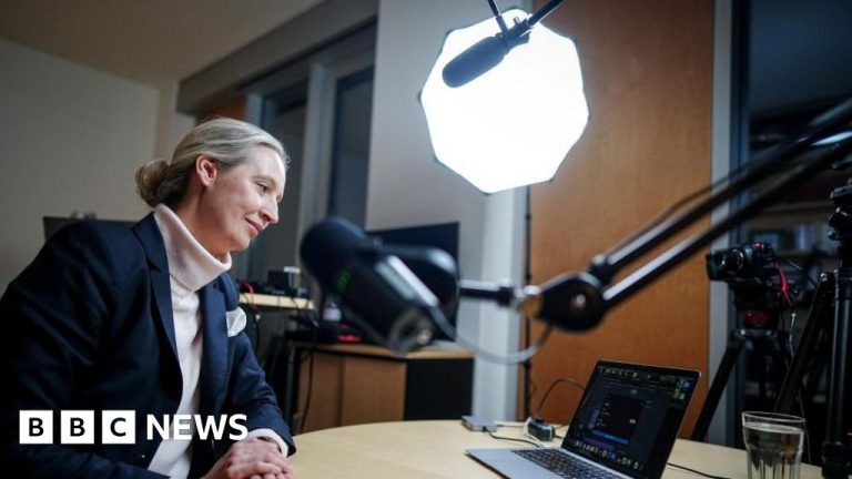 Musk mewawancarai vokalis sayap kanan Jerman Alice Weidel