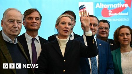 Apakah ‘firewall’ Jerman menentang kanan paling kanan telah dilanggar oleh keberhasilan AFD?