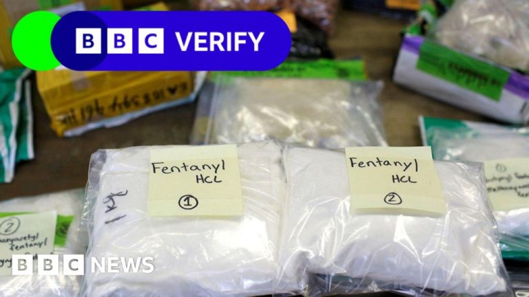 Bagaimana fentanyl masuk ke AS?