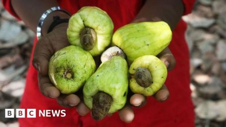 Ghana menginginkan lebih banyak untuk kacang metenya, tapi ini adalah kacang yang sulit untuk retak