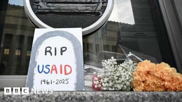 Para ahli memperingatkan ancaman terhadap kesehatan global saat Trump membeku USAID