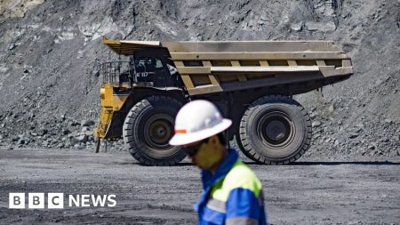 Putin menawarkan mineral langka Rusia dan Ukraina kepada AS