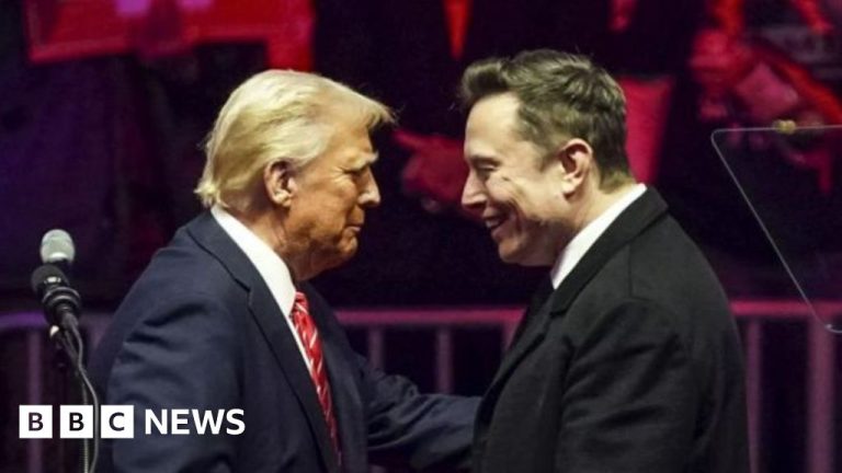 Trump Ally Musk sedang membuat kembali pemerintahan – tetapi apakah mereka akan berbenturan?