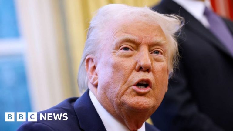 Trump setuju untuk menjeda tarif di Kanada dan Meksiko tetapi tidak pada China