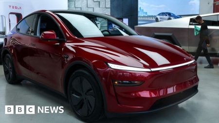 Bisakah EV Elon Musk menang atas pembeli mobil yang sadar harga India?