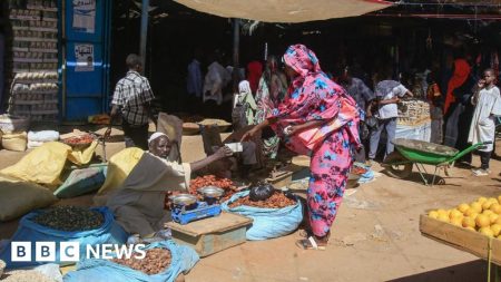 Lusinan ditakuti mati di Sudan setelah serangan di pasar Abu Shouk