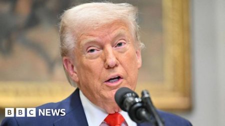 Trump mengumumkan penangguhan sebulan dari tarif Meksiko